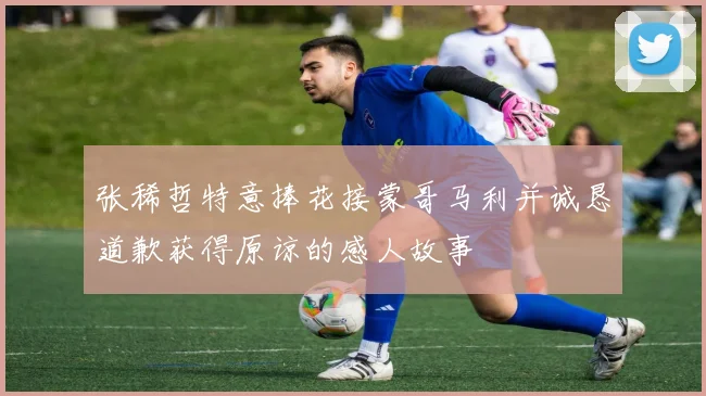 张稀哲特意捧花接蒙哥马利并诚恳道歉获得原谅的感人故事