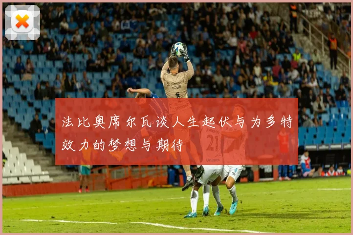 法比奥席尔瓦谈人生起伏与为多特效力的梦想与期待